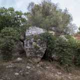 ...proviamo a scendere nella lama per andare a scoprire la �grotta della Tartaruga�, un sito che nasconde al suo interno un circuito architettonico scavato dall�uomo in epoca neolitica. L�ingresso della grotta risulta per� ostruito da grossi massi: non riusciamo cos� a visitarne l�interno